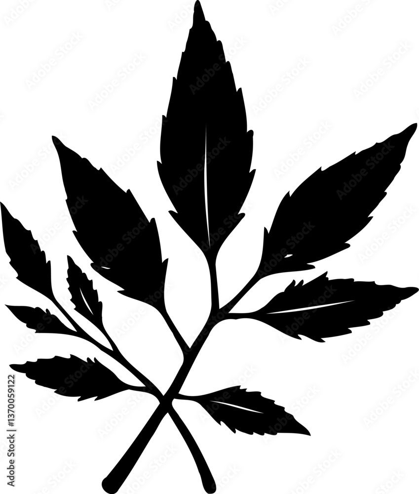 Fototapeta premium Intertwined Black Leaves on a White Background