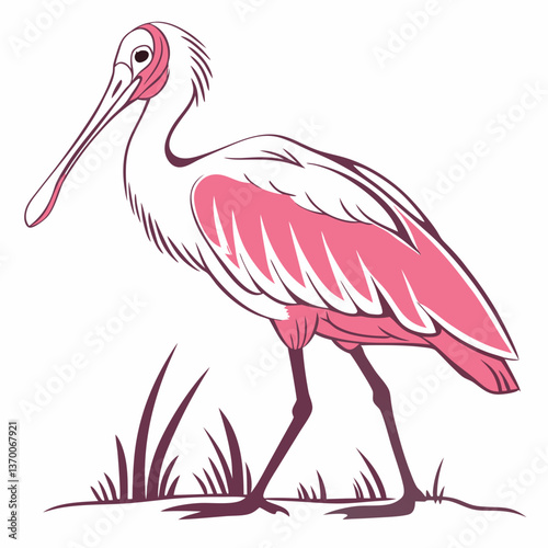 Roseate Spoonbill silhouette vector illustration