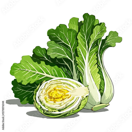 Vegetables hand drawn vector illustration. Vegetable packaging material, organic, fresh and healthy.