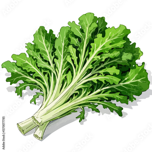 Vegetables hand drawn vector illustration. Vegetable packaging material, organic, fresh and healthy.