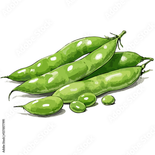 Vegetables hand drawn vector illustration. Vegetable packaging material, organic, fresh and healthy.