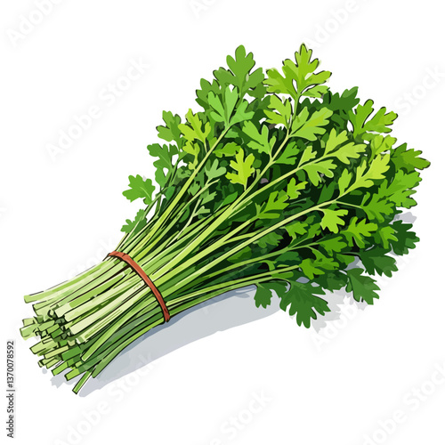 Vegetables hand drawn vector illustration. Vegetable packaging material, organic, fresh and healthy.