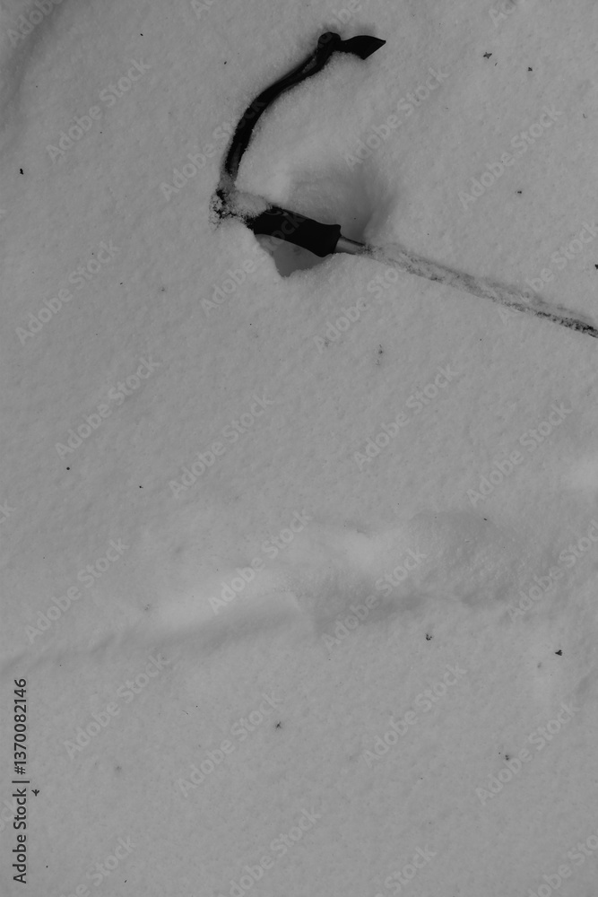Mont Singer 28 Mars 2025 - N&B