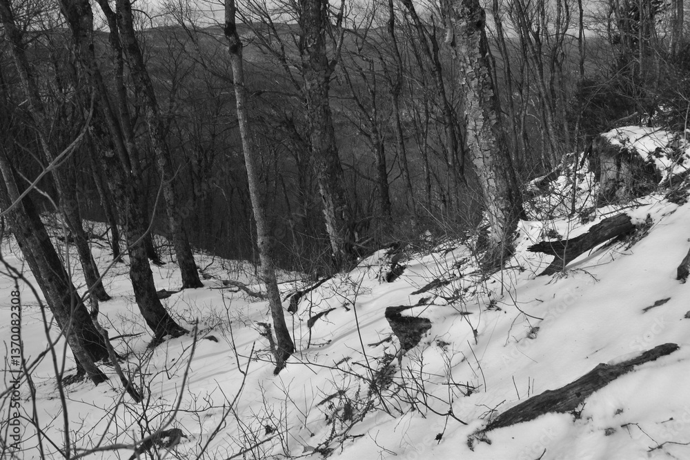 Mont Singer 28 Mars 2025 - N&B
