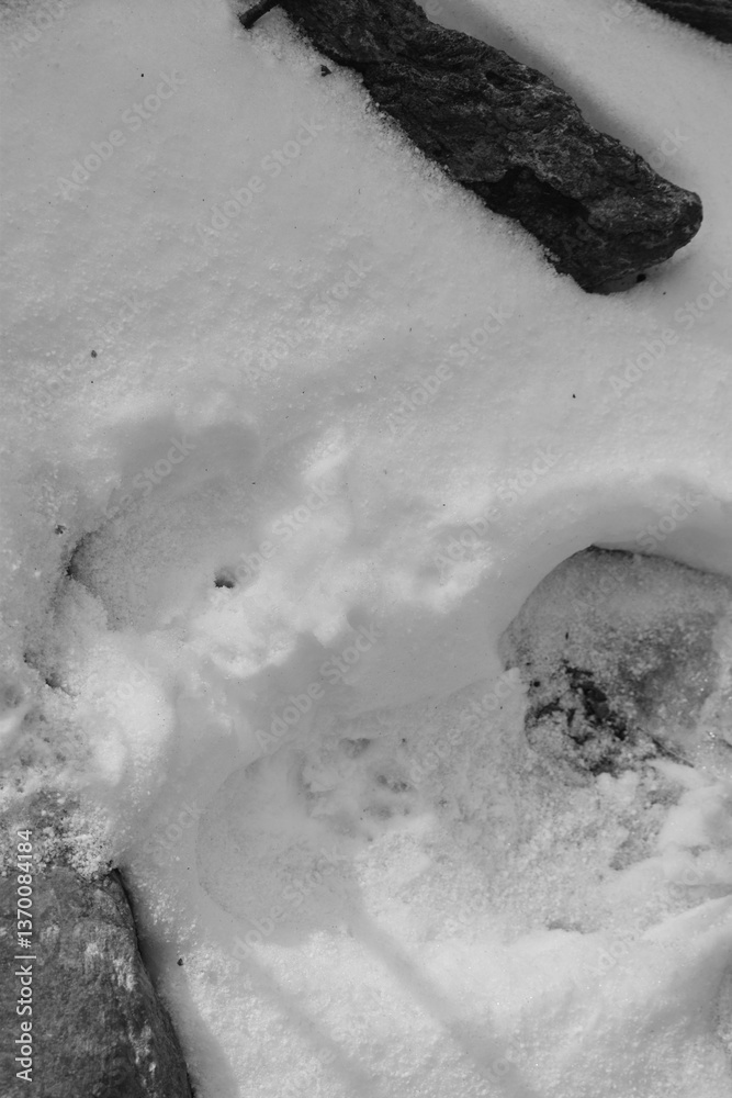 Mont Singer 28 Mars 2025 - N&B