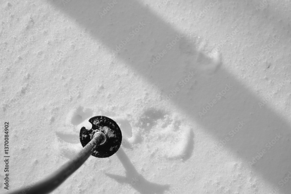 Mont Singer 28 Mars 2025 - N&B