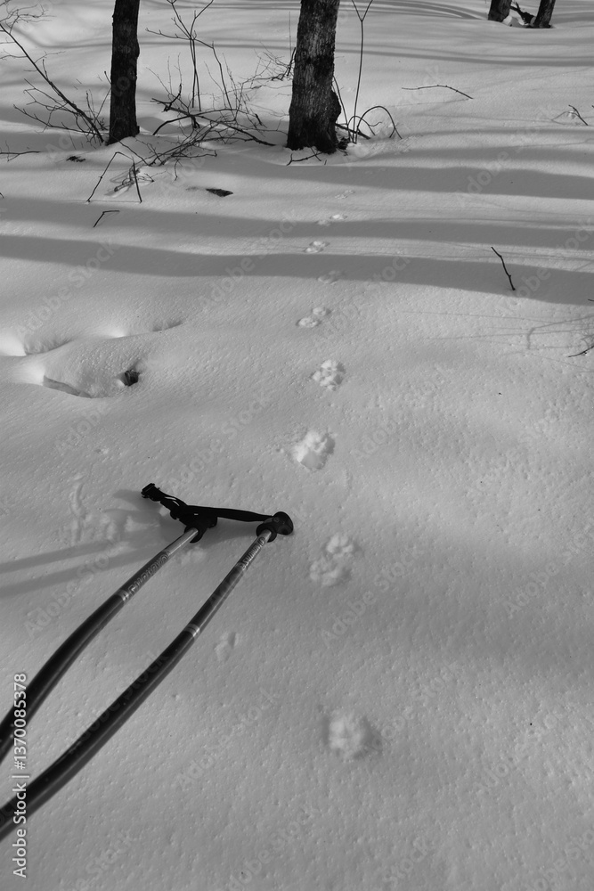 Mont Singer 28 Mars 2025 - N&B