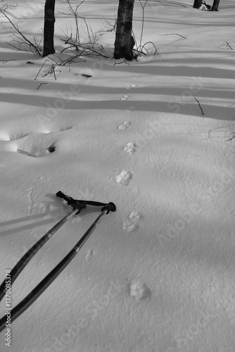 Obraz na płótnie Mont Singer 28 Mars 2025 - N&B w salonie