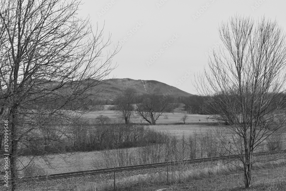 Mont Singer 28 Mars 2025 - N&B