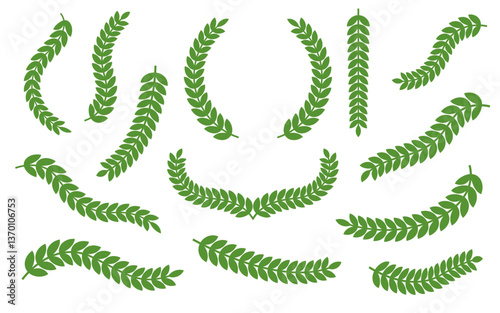 Vines vector illustrations.
