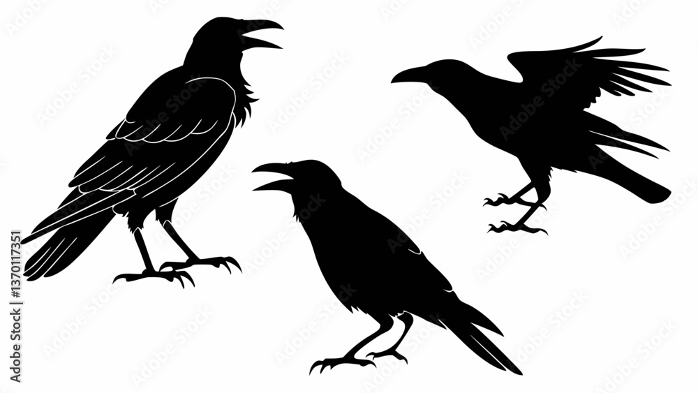 Fototapeta premium silhouettes of a crow.