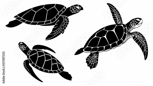 Oceanic Trio: Three Turtle Silhouettes Set in Motion