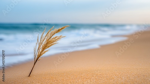 A solitary grass blade stands on a sandy beach by the shore, evoking tranquility.