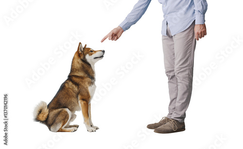 Pet owner scolding his dog