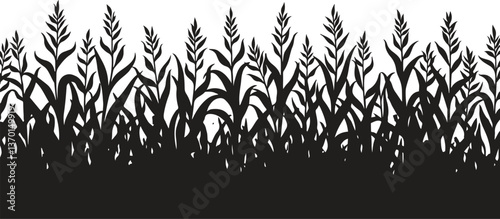  A black corn field. Maize field silhouette design vector illustration