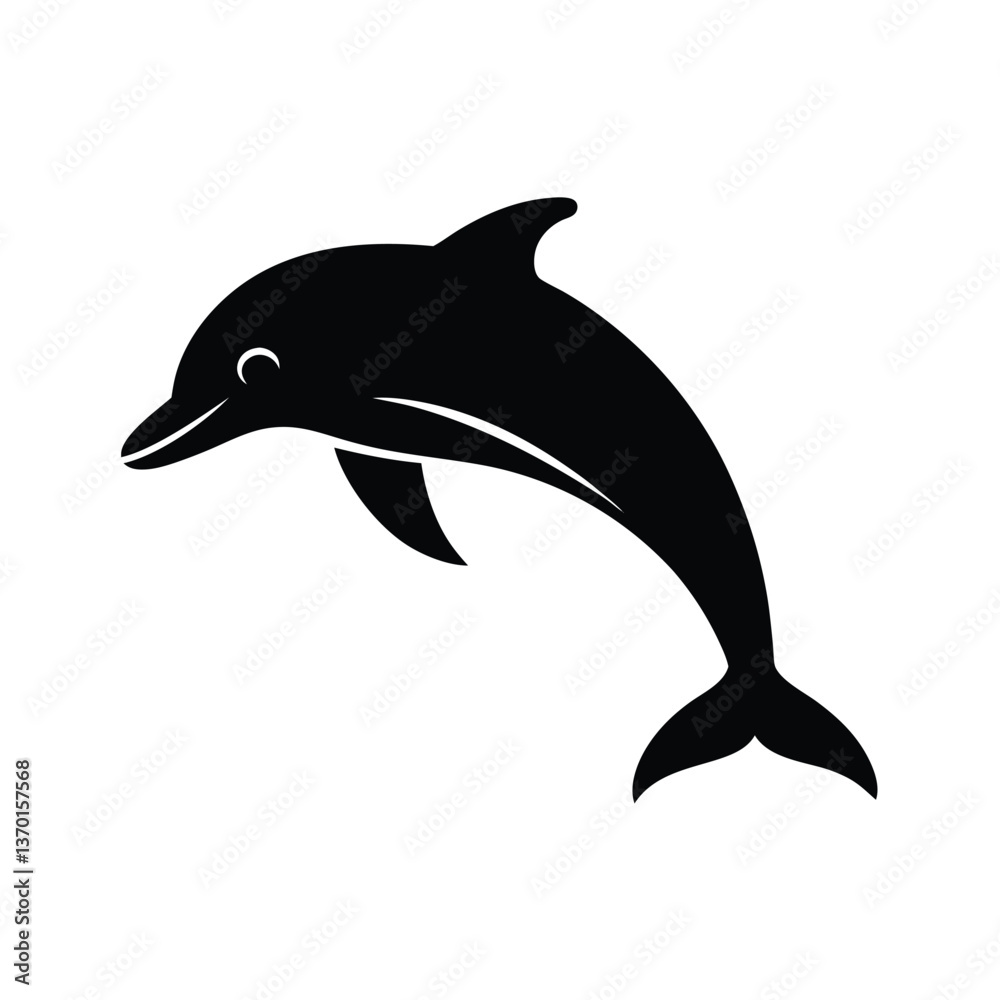 dolphin isolated on white dolphin isolated on white