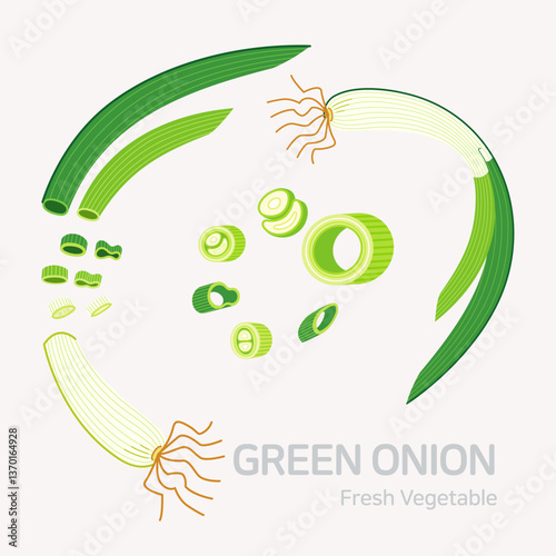 Green onion set. Flat style graphic. Vector format. 