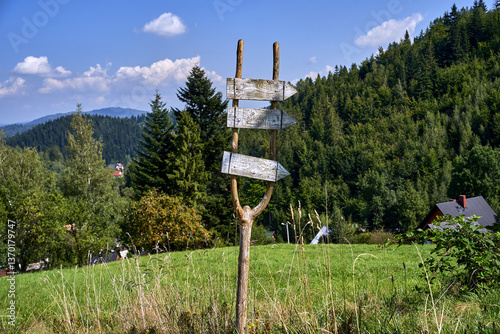 Fototapeta Naklejka Na Ścianę i Meble -  glade with Wooden signposts on a tourist trail in the Beskidy Mountains