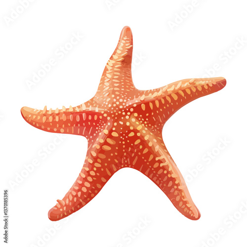 Starfish illustration in bright colors, flat icons set, vector style.
