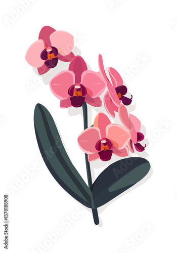 Pink orchid flowers arrangement with leaves, flat icons set, vector.