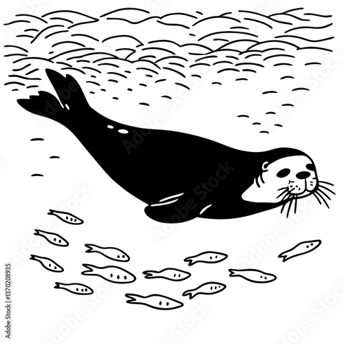 sea lion vector illustration
