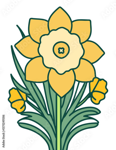 Daffodil narcissus illustration