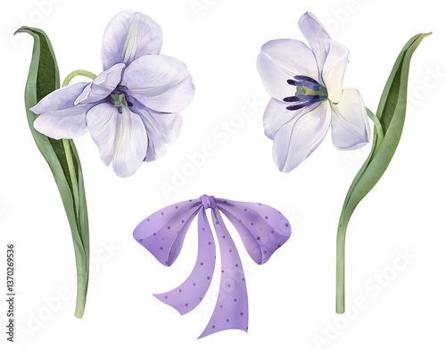 Lilac tulips and bow. “Lilac Spring” collection for creating floral and Easter designs	

