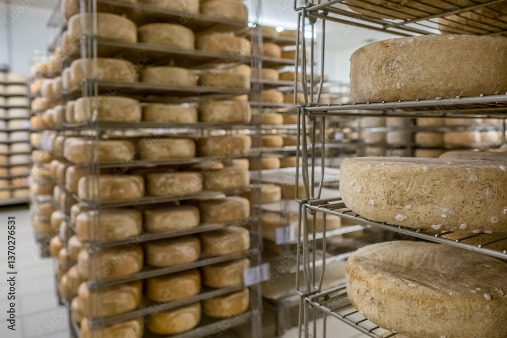 Aging Ossau-Iraty cheese on shelves in a maturing cellar in the Pyrenees