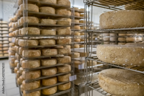 Obraz na płótnie Aging Ossau-Iraty cheese on shelves in a maturing cellar in the Pyrenees w salonie