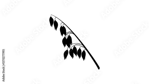 Oat ear, black isolated silhouette