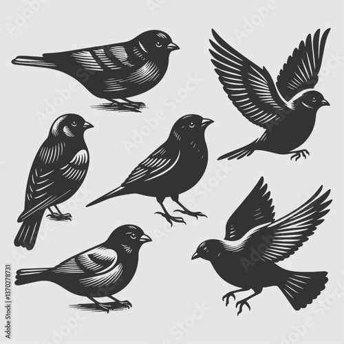 Wallpaper Mural Illustration of a set of birds in various poses, featuring sparrows, robins, owls, crows, and pigeons, designed in a cute, cartoon silhouette style with feathers, wings, and a nature theme Torontodigital.ca