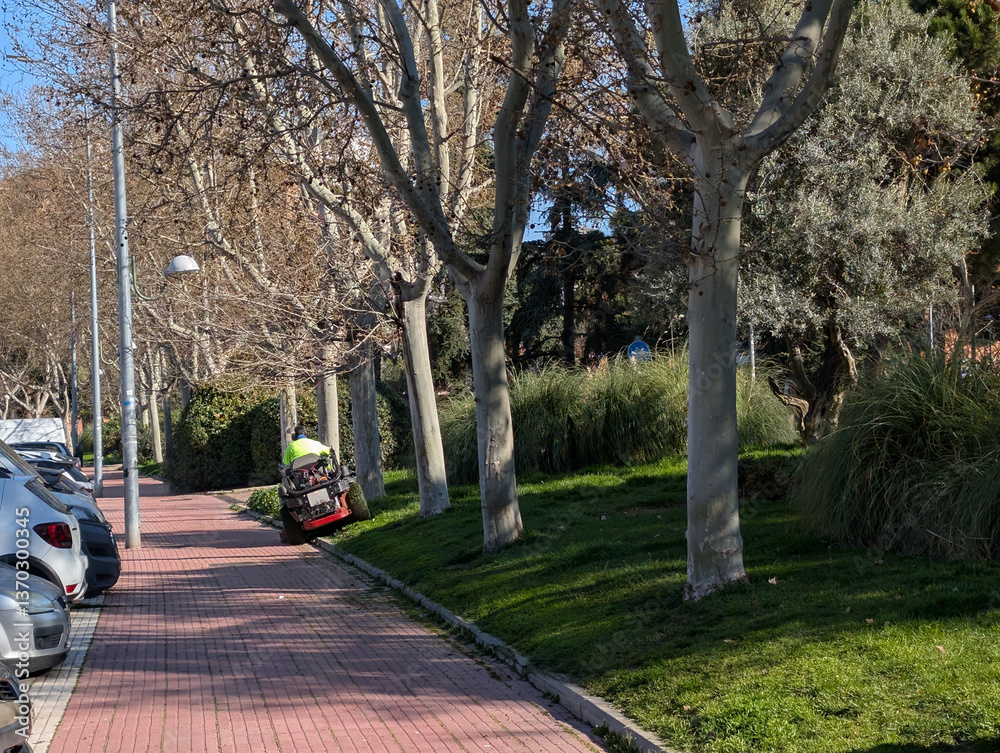 gardener, man, lawnmower, device, park, trees, work, mowing, veh
