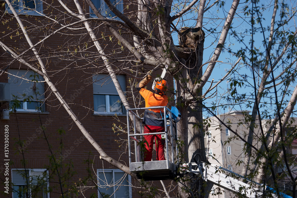 worker, boom, saw, pruning, tree, machine, work, helmet, work cl