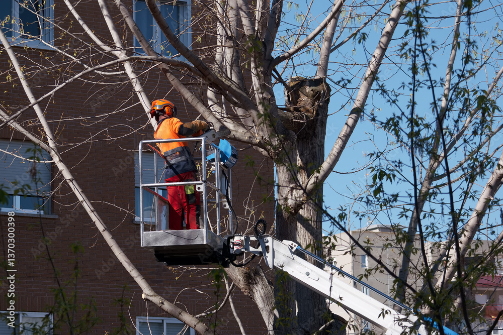 worker, boom, saw, pruning, tree, machine, work, helmet, work cl