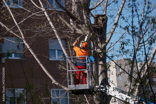 Obraz na płótnie worker, boom, saw, pruning, tree, machine, work, helmet, work cl w salonie