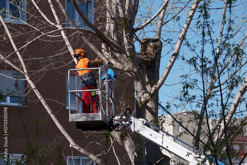 Obraz na płótnie worker, boom, saw, pruning, tree, machine, work, helmet, work cl w salonie