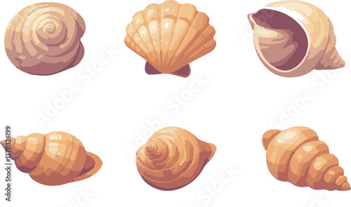 set of seashells