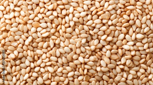 Close-up of raw sesame seeds texture