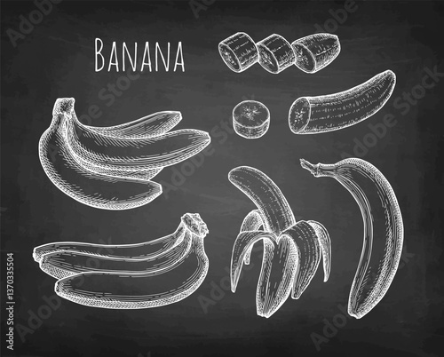 Banana chalk sketch