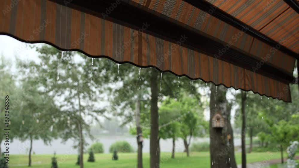 It is raining in a park with trees. It is raining in a park with trees.