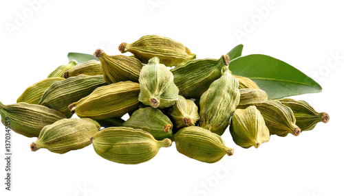 cardamom Isolated On PNG Transparent and White Background 