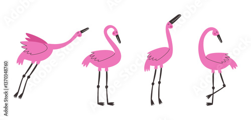 Pink flamingos in different poses set. Beautiful exotic birds.