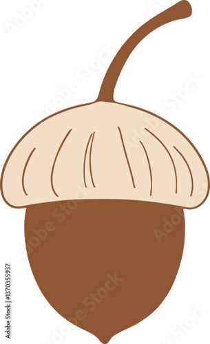 acorn