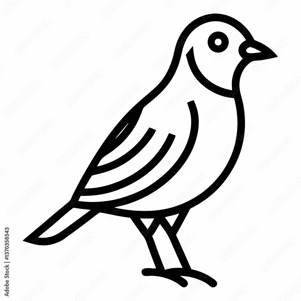 Fototapeta premium bird on white background