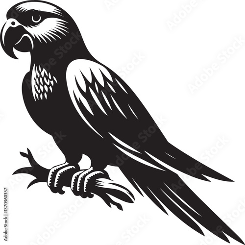parrot sihouette collection