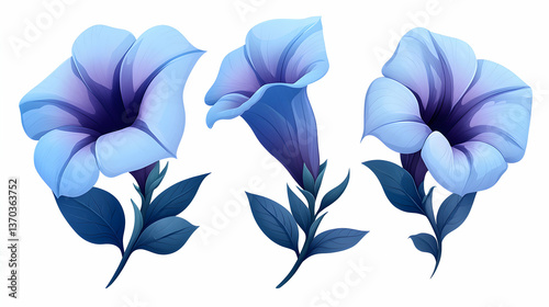 Three Light Blue and Purple Flowers with Dark Green Leaves on White Background