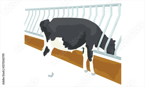 dairy cattle food place with white background