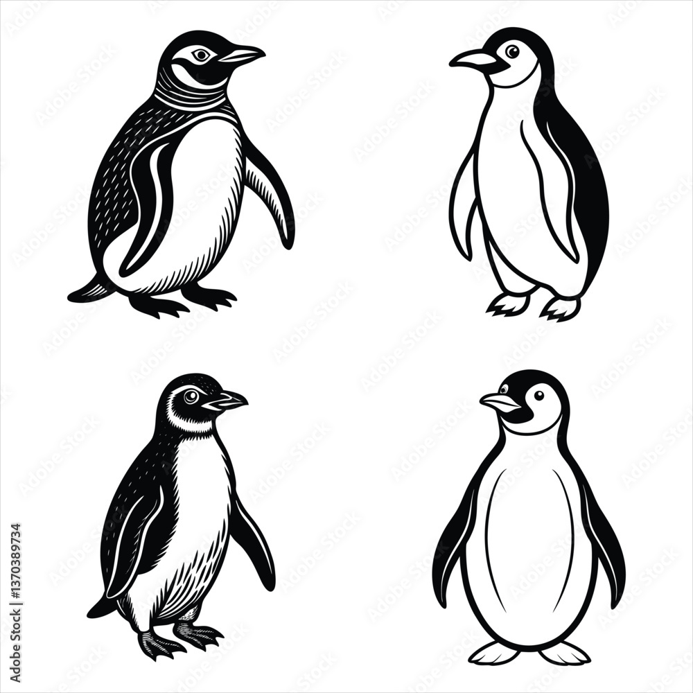 Obraz premium set of penguins vector 