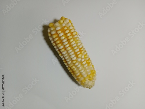 corn field view with white background