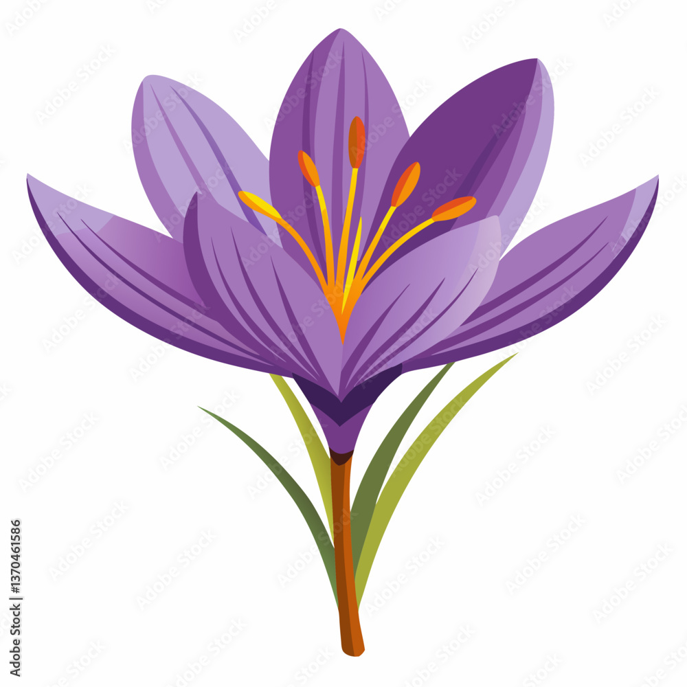 Fototapeta premium Saffron white background 